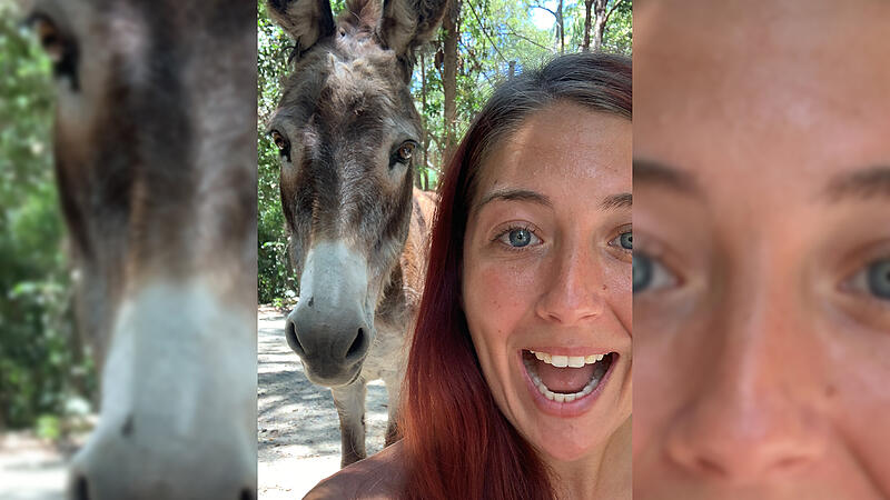 Bei Hollywoodstar ausgebüxt: Alexandra Klinke bringt Esel zurück zu Chris Hemsworth