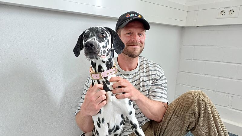 Bürohund