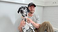 Bürohund