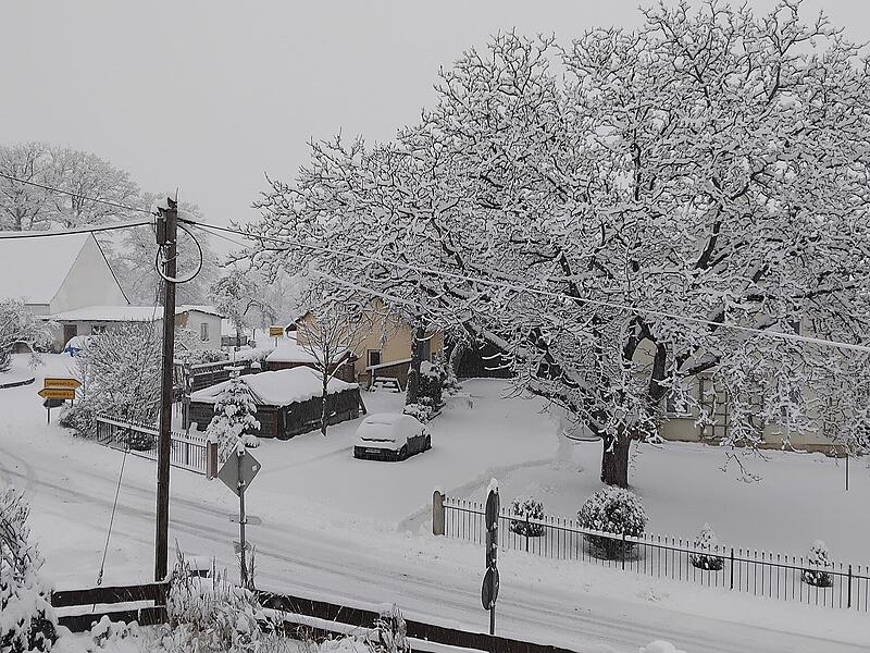 Schnee in Kulmbach: Die sch&ouml;nsten Leserfotos