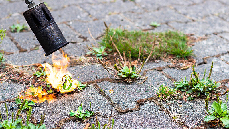 Unkraut auf Wegen und Hofeinfahrten mit dem Gasbrenner entfernen: Laut Kreisbrandrat Oliver Flake ist das keine gute Idee.