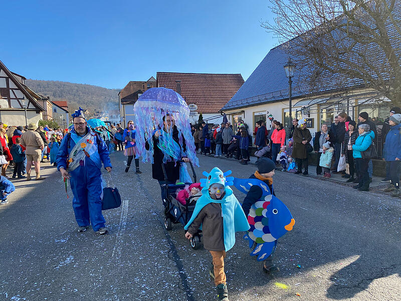 Faschingsumzug Ebermannstadt 2025Faschingsumzug Ebermannstadt 2025