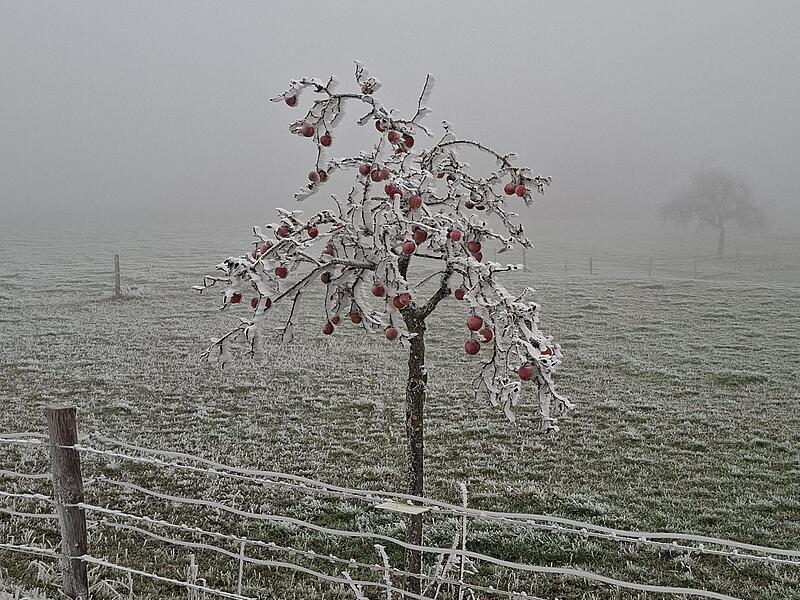 Diese beeindruckende Aufnahme hat Anja Vorndran am Dreistelz gemacht.