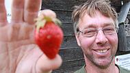 Klaus Schaufler aus  Steudach ist leidenschaftlicher Erdbeerbauer. Er gibt Tipps, wie die Pflanzen besser gedeihen.