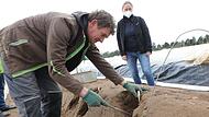 Spargelstechen ist Handarbeit: Tomasz Drozdzowski und Kathrin Güthlein ernten das Wurzelgemüse auf einem Spargelfeld in Hausen.Forchheim & Fränkische Schweiz