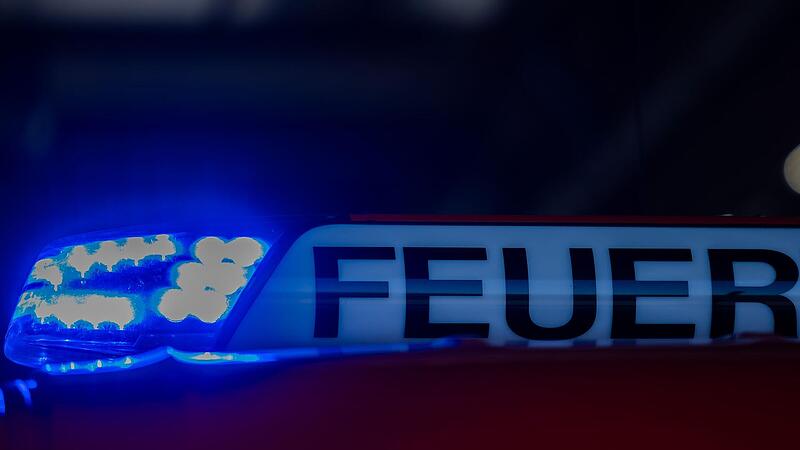 Unwetter in Coburg: Baum stürzt auf Brücke Unwetter in Coburg: Baum stürzt auf Brücke