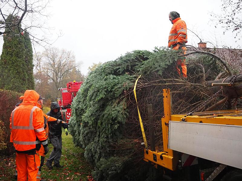 Der Transport mit Tieflader und Polizeieskorte ist problemlos gelaufen.