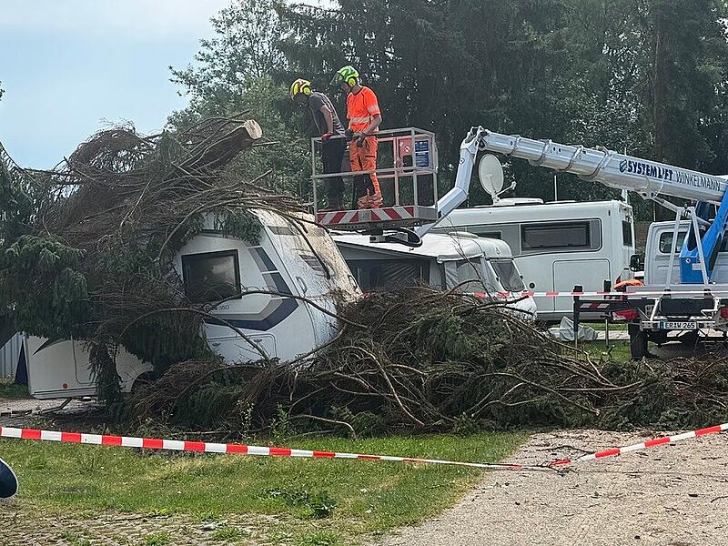 Eine Firma beseitigt den umgestürzten Baum am Dechsendorfer Weiher. Eine Firma beseitigt den umgestürzten Baum am Dechsendorfer Weiher.