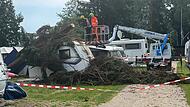 Eine Firma beseitigt den umgestürzten Baum am Dechsendorfer Weiher. Eine Firma beseitigt den umgestürzten Baum am Dechsendorfer Weiher.