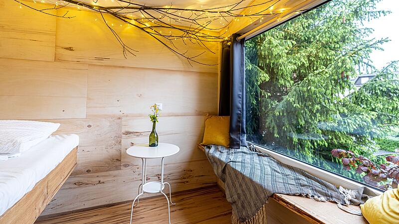 In Geusfeld im Steigerwald kann man zwischen zehn Meter hohen Tannen &uuml;bernachten.