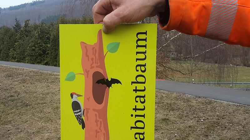 Je Hektar Waldfl&auml;che in Ramsthal m&uuml;ssen f&uuml;r das Programm &bdquo;Klimaangepasstes Waldmanagement&ldquo; f&uuml;nf Habitatb&auml;ume definiert werden. Wolfgang Seufert wird diese definieren und kartieren.