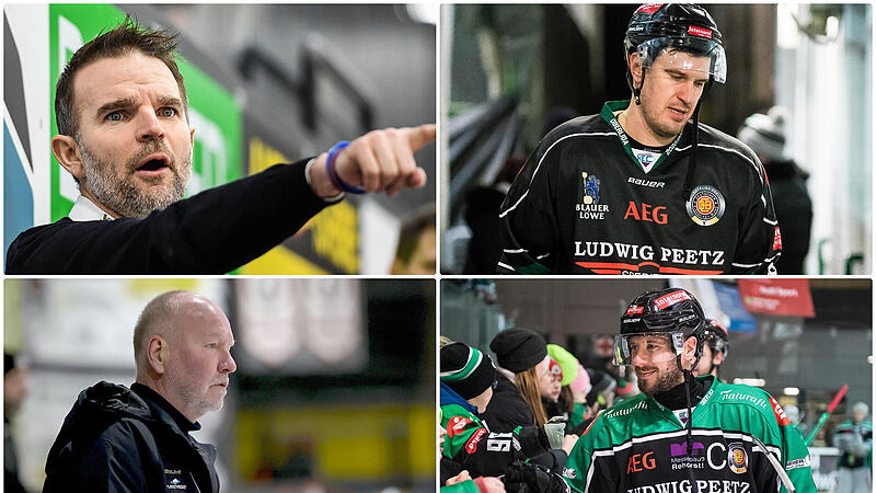Wer wird Nachfolger von Mikhail Nemirovsky bei den H&ouml;chstadt Alligators? Namen wie (im Uhrzeigersinn) Daniel Jun, Vitalij Aab, Martin Vojcak oder Ivan Horak kursieren.