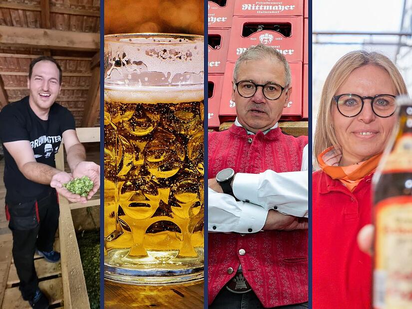 Hopfenbauern weltweit roden bereits ihre Best&auml;nde gegen das &Uuml;berangebot. Wie wirkt sich das auf Forchheims Brauereien aus - und vor allem den Bierpreis?