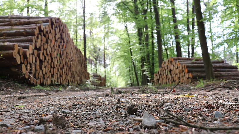 Ein mutmaßlicher Brennholz-Dieb soll vor Gericht - wegen versuchten Mordes: Die Staatsanwaltschaft Würzburg hat Anklage gegen einen 29-Jährigen aus Wiesentheid (Lkr. Würzburg) erhoben (Symbolbild).