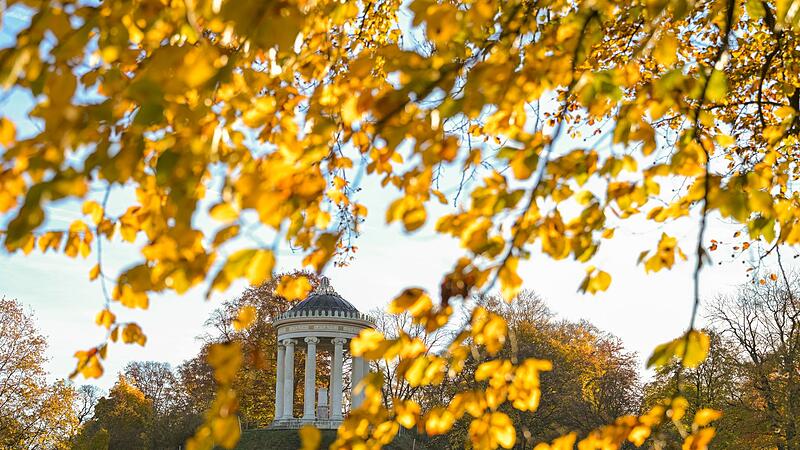 Englischer Garten im Morgenlicht