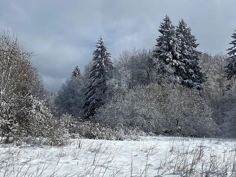 Eine traumhaft sch&ouml;ne Winterlandschaft in den Schwarzen Bergen, aufgenommen in der N&auml;he vom Berghaus in der Rh&ouml;n.