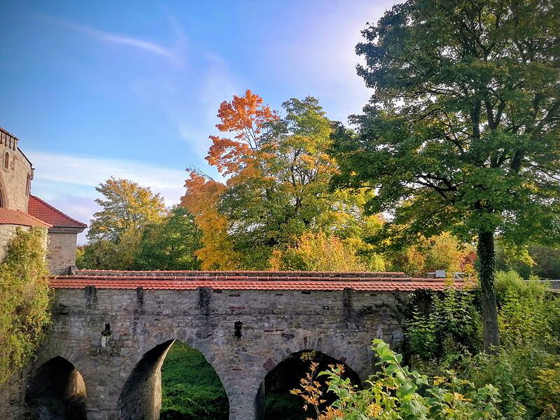 Blick über die Zugangsbrücke auf Schloss Saaleck auf den herbstlichen Wald