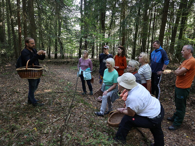 Pilzwanderung in Weißenbrunn mit dem Pilzsachverständigen Jochen Schmeißner.