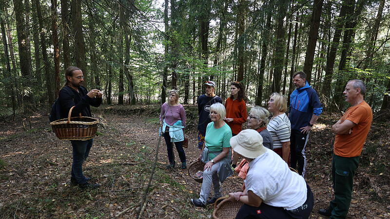 Pilzwanderung in Weißenbrunn mit dem Pilzsachverständigen Jochen Schmeißner.