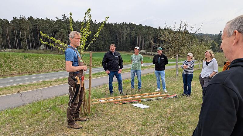 Michael Stromer erklärt an einem jungen Zwetschgenbaum den Obstbaumschnitt.
