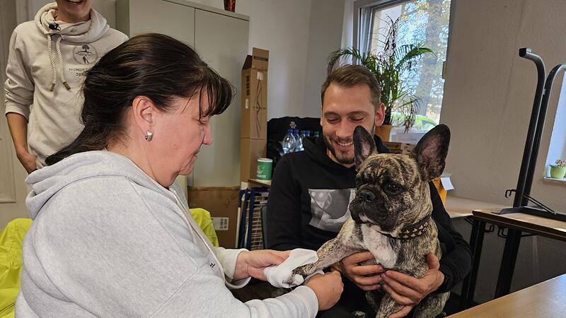 Erste-Hilfe-Kurs für Hunde