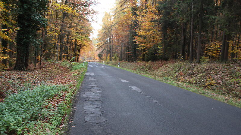 Die Straße zwischen Münnerstadt und Bad Bocklet weist abschnittsweise erhebliche Schäden auf. Die Straße zwischen Münnerstadt und Bad Bocklet weist abschnittsweise erhebliche Schäden auf.