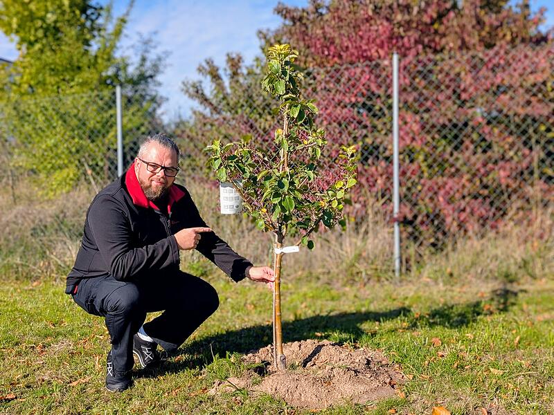 Apfelbaum-Challenge ILS Ebersdorf bei Coburg