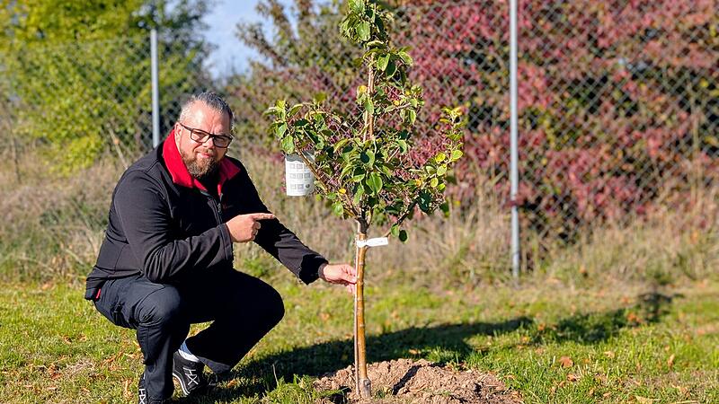 Apfelbaum-Challenge ILS Ebersdorf bei Coburg Apfelbaum-Challenge ILS Ebersdorf bei Coburg