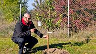 Apfelbaum-Challenge ILS Ebersdorf bei Coburg