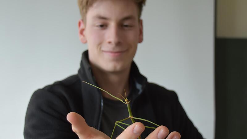 Finn Richter mit einer Stabheuschrecke - einem Nahrungsmittel der Zukunft?