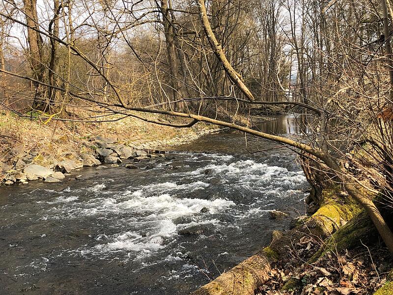 Leserfotos: So sch&ouml;n ist der Sommeranfang im FrankenwaldLeserfotos: So sch&ouml;n ist der Sommeranfang im Frankenwald