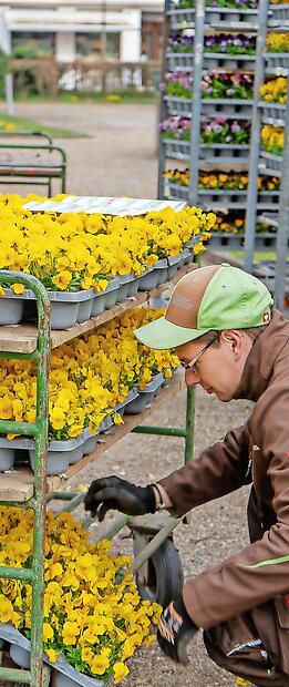 Seit Beginn der Woche arbeitet das Garten-Team der Bayerischen Staatsbad Bad Kissingen GmbH an der Fr&uuml;hjahrsbepflanzung.