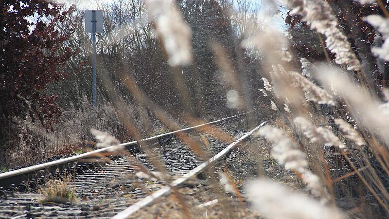 Weiter Stillstand, keine Reaktivierung: Die Bahntrasse mit den Gleisen der stillgelegten Steigerwaldbahn bei Gerolzhofen (Lkr. Schweinfurt).