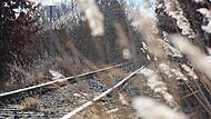 Weiter Stillstand, keine Reaktivierung: Die Bahntrasse mit den Gleisen der stillgelegten Steigerwaldbahn bei Gerolzhofen (Lkr. Schweinfurt).