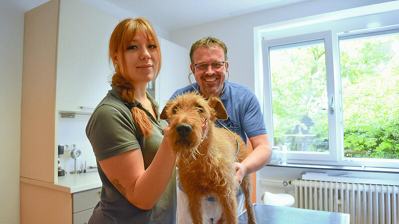 Der Bamberger Tierarzt Tim Glabasnia – hier mit der tiermedizinischen Fachangestellten Julia Jung und Hündin Abichi – weiß, wie sich ein Hitzschlag bei Haustieren vermeiden lässt.