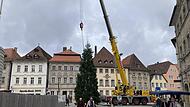 Zwölf Meter hoch, zwei Tonnen schwer: Da braucht es einen Kran, um den Baum richtig auszurichten.Forchheim & Fränkische Schweiz Zwölf Meter hoch, zwei Tonnen schwer: Da braucht es einen Kran, um den Baum richtig auszurichten.Forchheim & Fränkische Schweiz