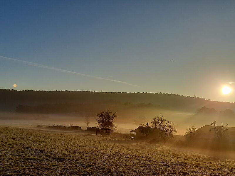 Eine schöne Herbstimpression: Das Foto ist auf dem Weg zur Arbeit aufgenommen worden.