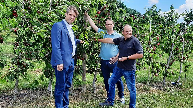 Der Wettbewerb ist er&ouml;ffnet (v.&nbsp;l.): Landrat Hermann Ulm, Manuel Rauch (Gesch&auml;ftsf&uuml;hrer Genossenschaft Pretzfeld und Mittelehrenbach) und Markus Zei&szlig; (Vorstand Genossenschaft Igensdorf)Forchheim & Fr&auml;nkische Schweiz