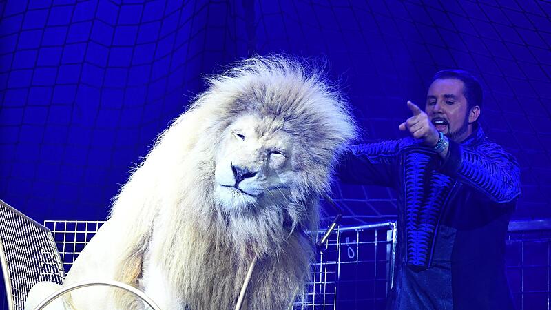 Martin Lacey jr. und ein weisser L&ouml;we zeigen ihre Dressur bei der Pressevorstellung der Circus Krone Premiere "New Memories" im M&uuml;nchner Kronebau.