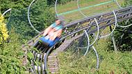 Die Sommerrodelbahn in Vestenbergsgreuth ist ein Besuchermagnet in der ganzen Region. Sie steht aktuell zum Verkauf.