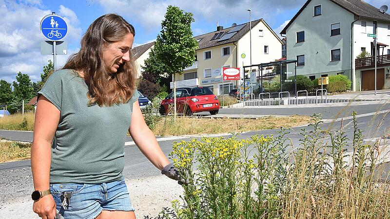 Gemeinderätin Anne Mauser zeigt eine große Jakobskreuzkrautstaude in voller Blüte.Forchheim & Fränkische Schweiz