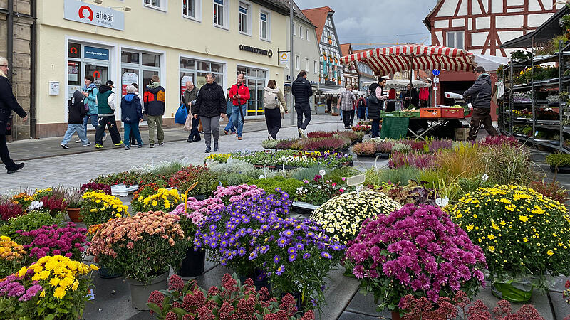 Am Sonntag, 5. Oktober, lockte der Jahrmarkt Einkäufer und Besucher in die Forchheimer Innenstadt. 75 Marktstände boten viel zu entdecken.