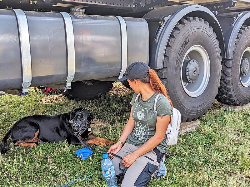 Mensch und Tier suchen Schatten am Truck.