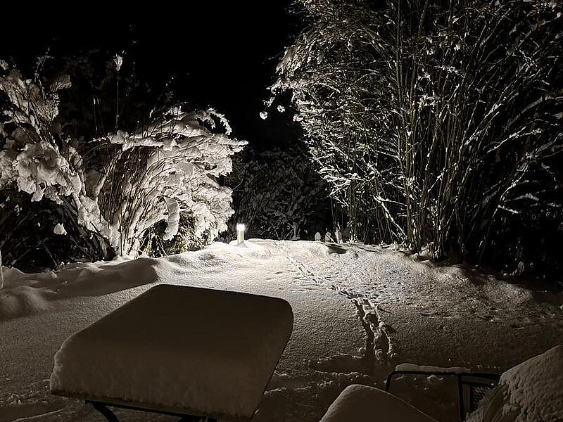Schnee in Kulmbach: Die sch&ouml;nsten Leserfotos