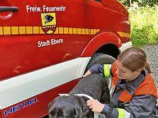Der jaulende Labrador hatte den Einsatz ausgelöst.