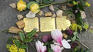 Die Stolpersteine der Familie Stein liegen in Kitzingen. Die Stolpersteine der Familie Stein liegen in Kitzingen.