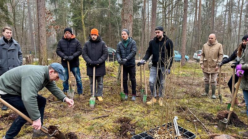 F&ouml;rster Stefan Stirnwei&szlig; zeigt den freiwilligen Helfern und dem B&uuml;rgermeister in Gro&szlig;enseebach, wie die Setzlinge zu pflanzen sind.