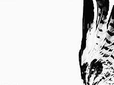 Miriam Vlaming geh&ouml;rt zu den pr&auml;genden K&uuml;nstlerinnen der Neuen Leipziger Schule.