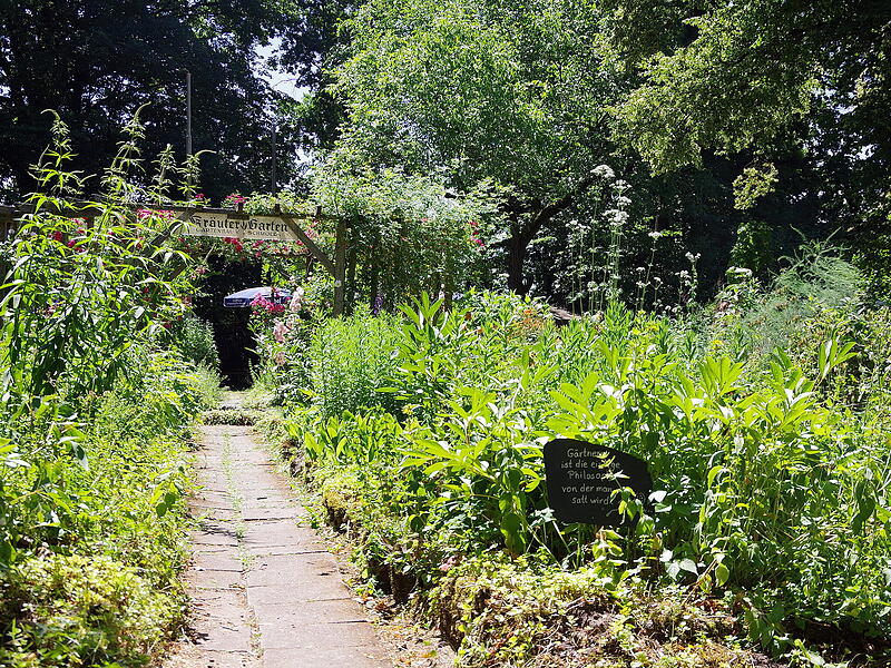 Der Pfarrgarten als "Apotheke Gottes"