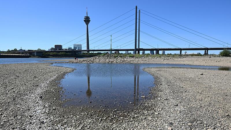 Niedrigwasser im Rhein Niedrigwasser im Rhein